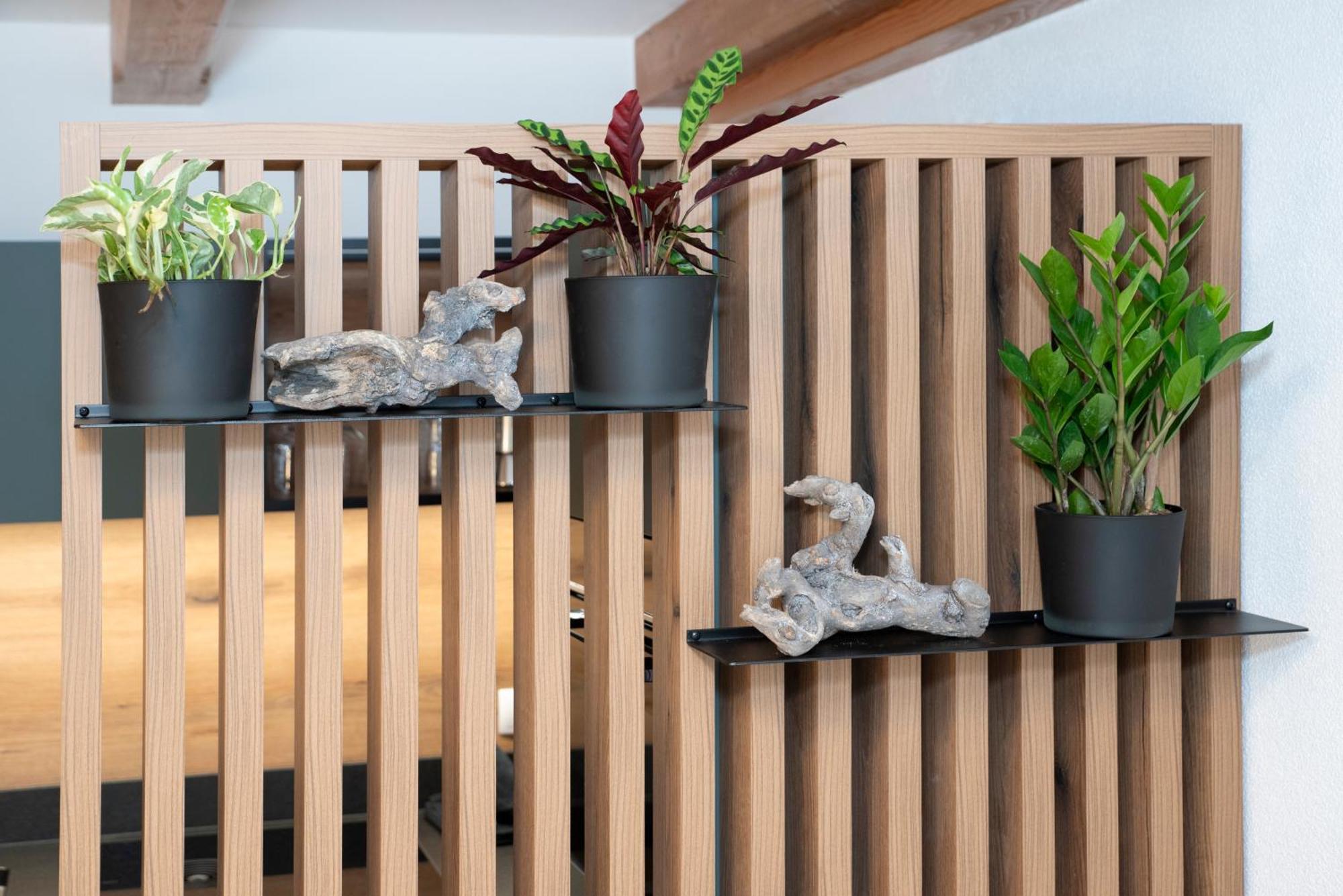 Natural Deluxe Apartments אלפבאך מראה חיצוני תמונה