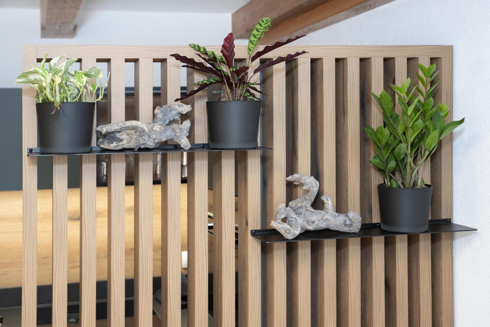 Natural Deluxe Apartments אלפבאך מראה חיצוני תמונה